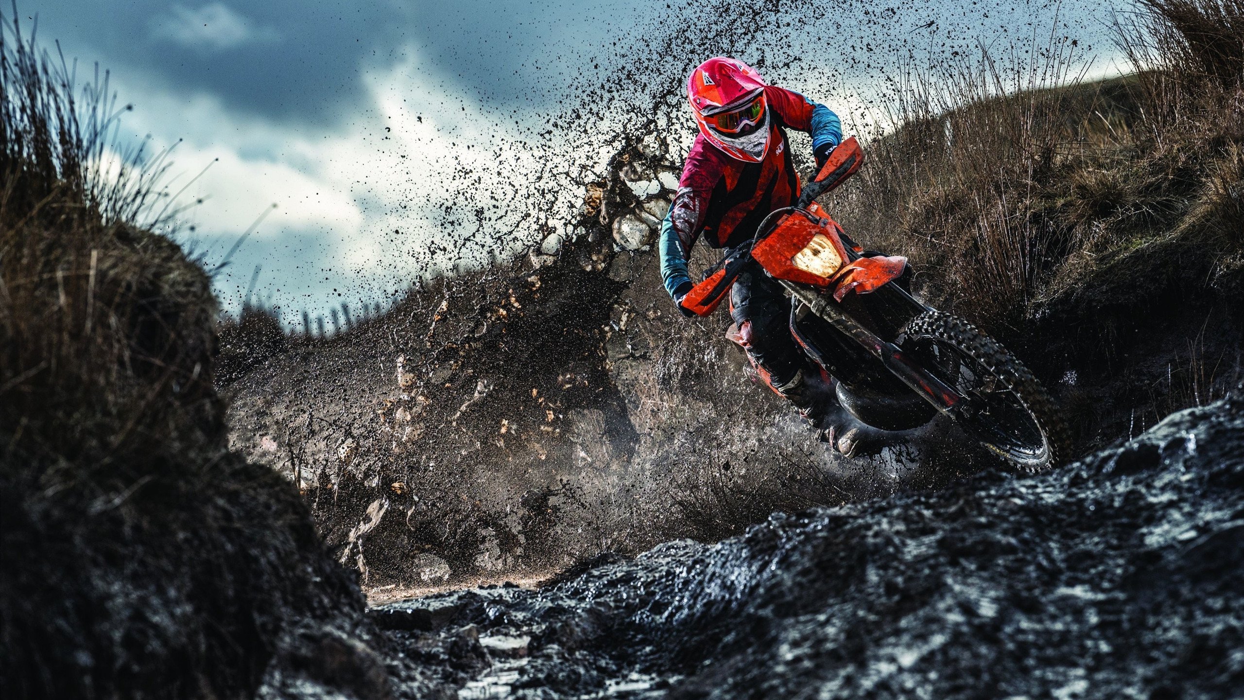 绿茵场上的魔幻现实，哥伦比亚掀翻葡萄牙，欧冠淘汰赛的史诗焦点战